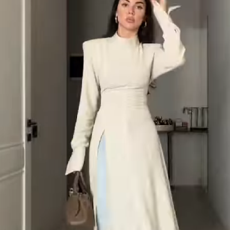 Women's Elegant High Neck Long - Women Formal Office Wear Tops incelemesi ve fiyatı